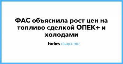 ФАС объяснила рост цен на топливо сделкой ОПЕК+ и холодами