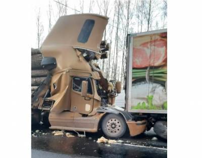В Смоленской области на трассе жестко столкнулись два грузовика