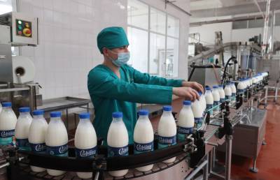 «Тот результат, который должен был быть, пока мы его не увидели»: Кочанова посетила Полоцкий молочный комбинат