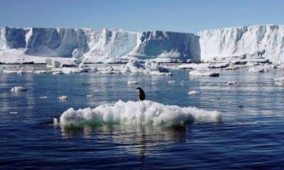 Ученые предупредили о сокрушительной катастрофе в Антарктике