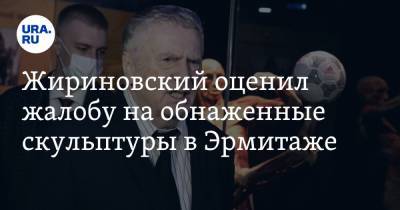 Жириновский оценил жалобу на обнаженные скульптуры в Эрмитаже. «Это же маразм!»