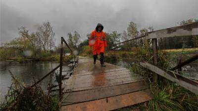 Росприроднадзор установил размыв береговой линии реки Ижора в Тосненском районе