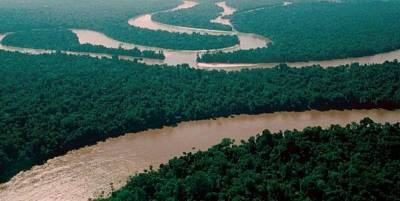 Почему на реке Амазонка нет ни одного моста » Тут гонева НЕТ!