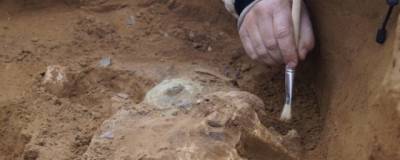 В Шотландии ученые нашли окаменелость возрастом в миллиард лет
