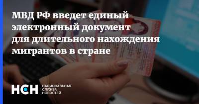МВД РФ введет единый электронный документ для длительного нахождения мигрантов в стране