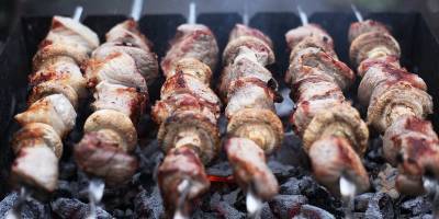Шашлык на майские праздники лучше готовить из нежирного мяса: курицы, кролика, телятины - новости Украины - ТЕЛЕГРАФ