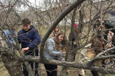 «Зелёный город» научил школьников и чиновников правильно обрезать деревья в Чите