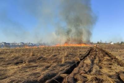 110 штрафов на сумму 273 000 рублей выписано в Смоленской области за палы сухой травы и разведение костров