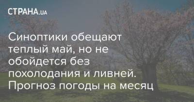 Синоптики обещают теплый май, но не обойдется без похолодания и ливней. Прогноз погоды на месяц