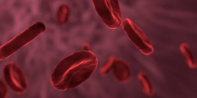Официально. Ученые подтвердили связь между группой крови и риском развития болезней