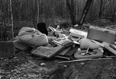 Госэконадзор и местные жители предотвратили стихийную свалку рядом с Невским лесопарком