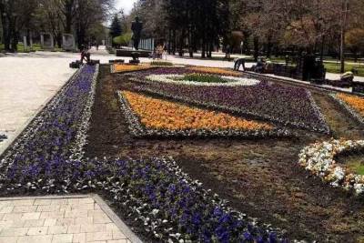 Буйство цветочного разноцветья обещают ставропольцам в мае