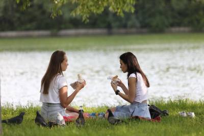 Россиян призвали соблюдать чистоту на пикниках - vm.ru - Экология