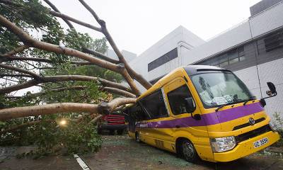 11 человек стали жертвами мощного урагана в Китае - tvc.ru - Китай - провинция Цзянсу