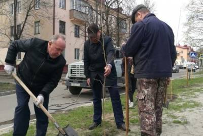В Брянске высадили 76 деревьев в честь Победы вдоль Московского проспекта
