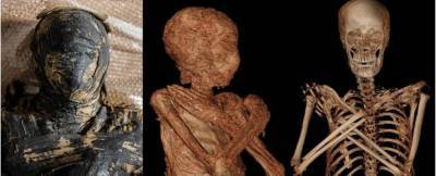 Впервые найдена беременная мумия