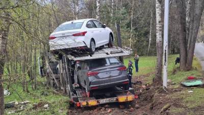 Пьяный водитель автовоза вломился в усадьбу, уходя с места ДТП. Видео