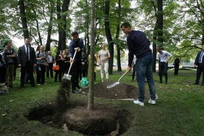 Жителям Петербурга предложили посадить деревья во время майских праздников