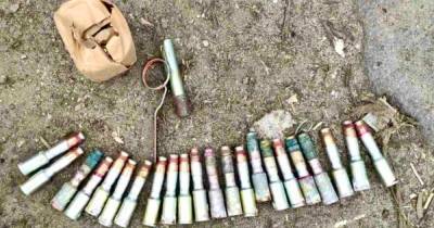 В Калининградской области на обочине нашли боеприпасы