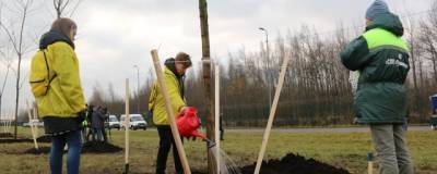 Петербуржцев приглашают на майских праздниках посадить деревья