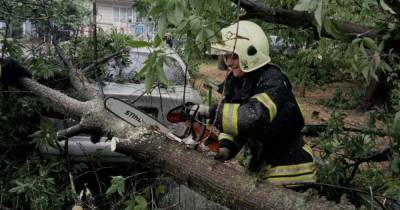 В Хмельницкой области спасатели освободили ребенка, который застрял между деревьями