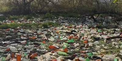 На реке Уды в Бабаях под Харьковом образовался целый остров из выброшенных бутылок - видео - ТЕЛЕГРАФ