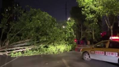 Поваленные деревья и обесточенные районы: на восток Китая обрушился мощный ураган