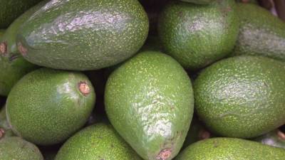 Ученые из США и Канады рассказали об уникальном свойстве авокадо