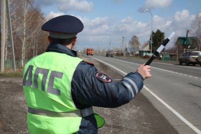 Рязанская полиция выпустила памятку для водителей на майские праздники
