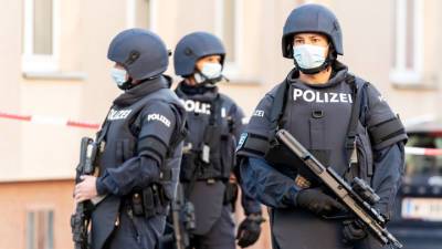 Разгон по Фрейду: венская полиция применила газ против антифашистов