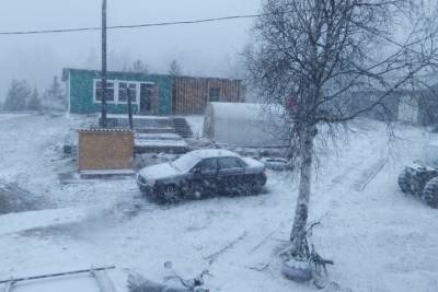 В Холмогорском районе выпал первомайский снег
