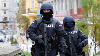 Полиция в Вене разогнала демонстрацию антифашистов