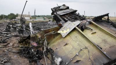 Нидерландский журналист рассказал о фальсификации улик по делу MH17