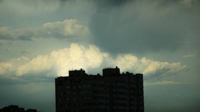 Из-за ветра и дождя в Москве объявили желтый уровень погодной опасности