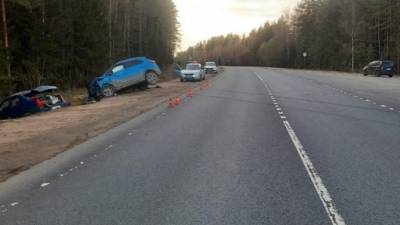 Пожилой водитель погиб в ДТП в Рамешковском районе Тверской области