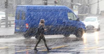 В Москве и области объявили жёлтый уровень опасности из-за штормового ветра и ливня