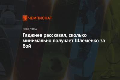 Гаджиев рассказал, сколько минимально получает Шлеменко за бой