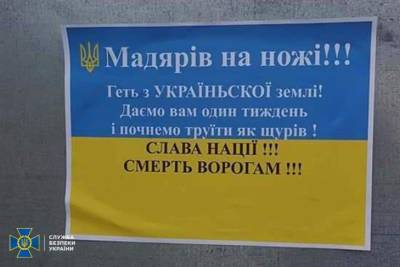 Переселенці з Луганська влаштували антиугорські провокації на Закарпатті