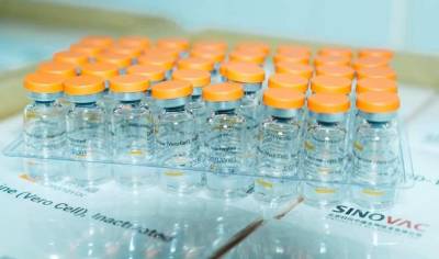 В Украину доставили новую партию антиковидной вакцины CoronaVac