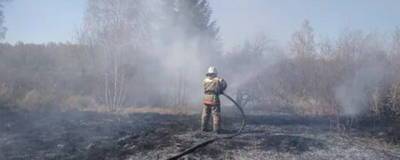 В Омской области по вине дачника, сжигавшего сухую траву, сгорели 5 дачных домиков