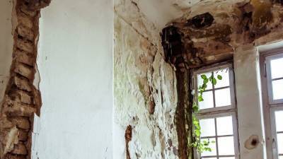 Инженер Дьяков рассказал об опасности образования плесени на стенах дома