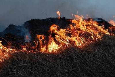Праздничный салют устроил пожар площадью 20 кв. м. на острове Татышев в Красноярске