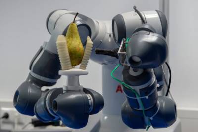 «Умные» роботы повышают рентабельность переработки овощей