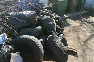 Управляющая компания в Хабаровском крае оштрафована за мусор