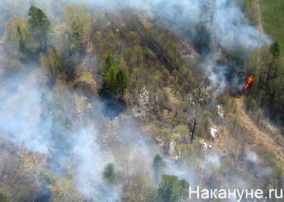 В Свердловской области потушен лесной пожар, с которым боролись несколько суток