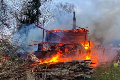 В Сафоновском районе Смоленской области при пожаре в дачном доме погиб человек