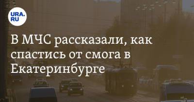 В МЧС рассказали, как спастись от смога в Екатеринбурге. «Нужно есть больше овощей»
