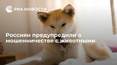Россиян предупредили о мошенничестве с животными