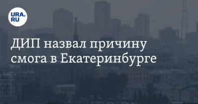 ДИП назвал причину смога в Екатеринбурге