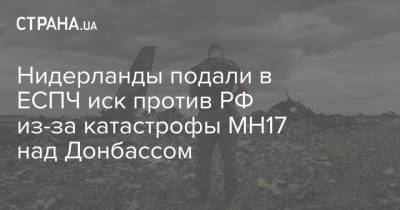 Нидерланды подали в ЕСПЧ иск против РФ из-за катастрофы МН17 над Донбассом